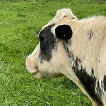 דירה Panorama Sousberg