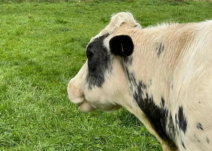 Lejlighed Panorama Sousberg